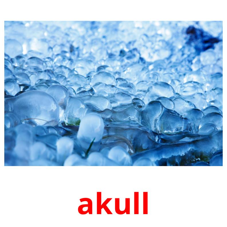 akull picture flashcards