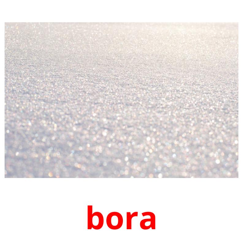 bora picture flashcards