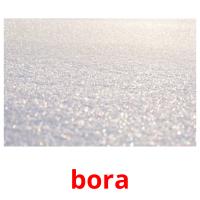 bora picture flashcards