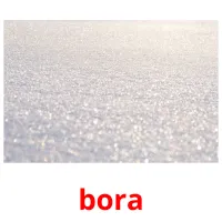 bora Bildkarteikarten