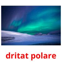 dritat polare card for translate