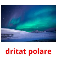 dritat polare Bildkarteikarten