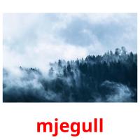 mjegull card for translate