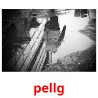pellg card for translate