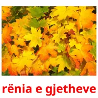 rënia e gjetheve Bildkarteikarten