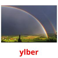 ylber picture flashcards