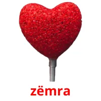 zëmra picture flashcards