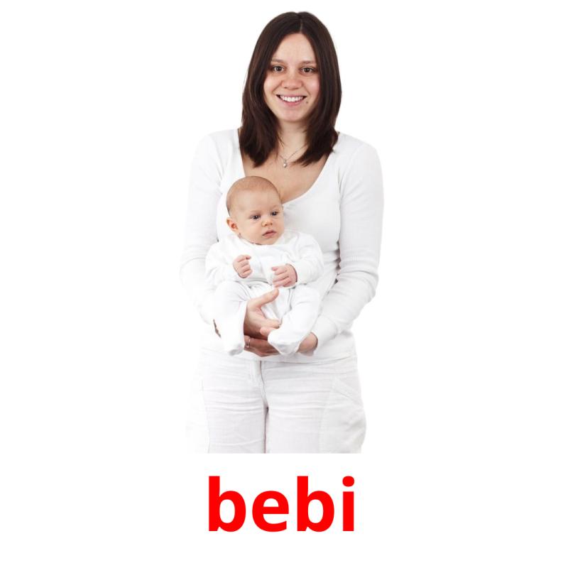 bebi picture flashcards