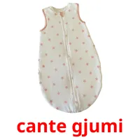 cante gjumi picture flashcards