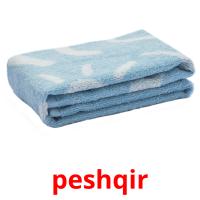 peshqir picture flashcards