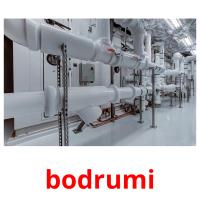 bodrumi picture flashcards