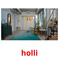 holli picture flashcards