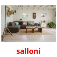 salloni picture flashcards