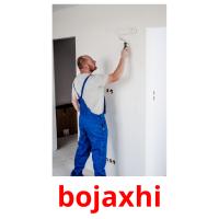 bojaxhi picture flashcards