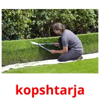 kopshtarja Bildkarteikarten