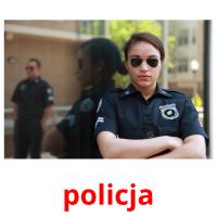 policja Tarjetas didacticas