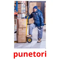 punetori Bildkarteikarten