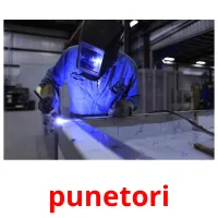 punetori Bildkarteikarten