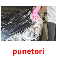 punetori Bildkarteikarten