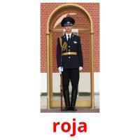 roja picture flashcards