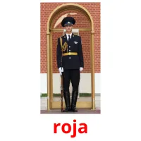 roja Bildkarteikarten