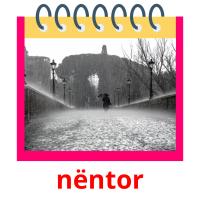 nëntor picture flashcards