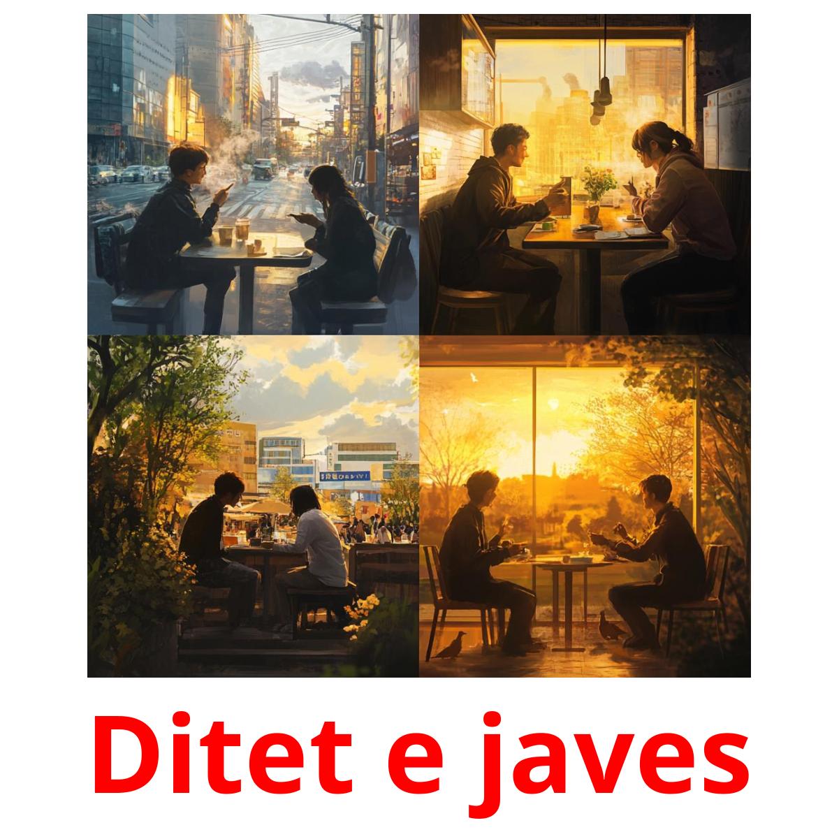 Ditet e javes picture flashcards