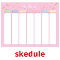 skedule picture flashcards
