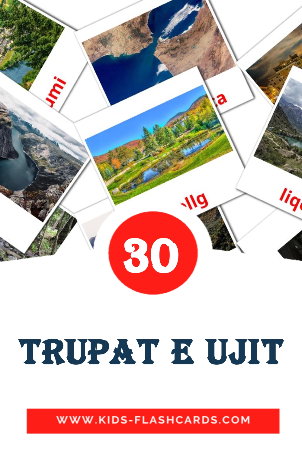 30 Trupat e ujit Picture Cards for Kindergarden in albanian