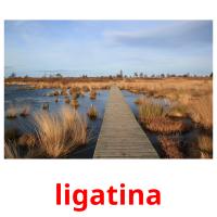 ligatina card for translate