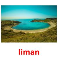 liman picture flashcards