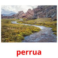 perrua card for translate