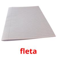 fleta picture flashcards