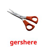 gershere picture flashcards
