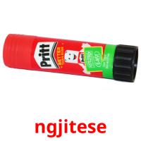 ngjitese picture flashcards