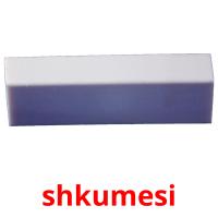 shkumesi flashcards illustrate