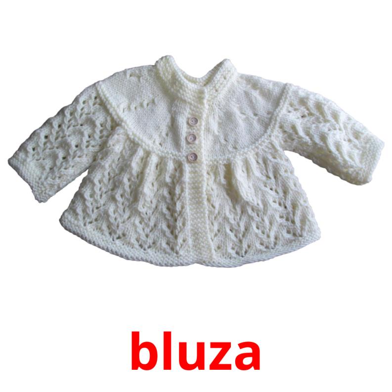 bluza picture flashcards