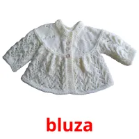 bluza Tarjetas didacticas