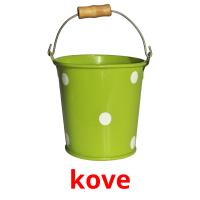 kove picture flashcards