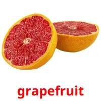 grapefruit picture flashcards