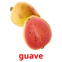 guave picture flashcards