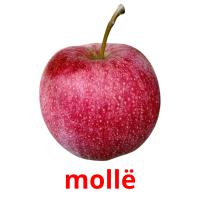 mollë picture flashcards