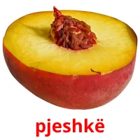 pjeshkë picture flashcards