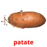 patate Tarjetas didacticas