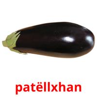 patëllxhan picture flashcards