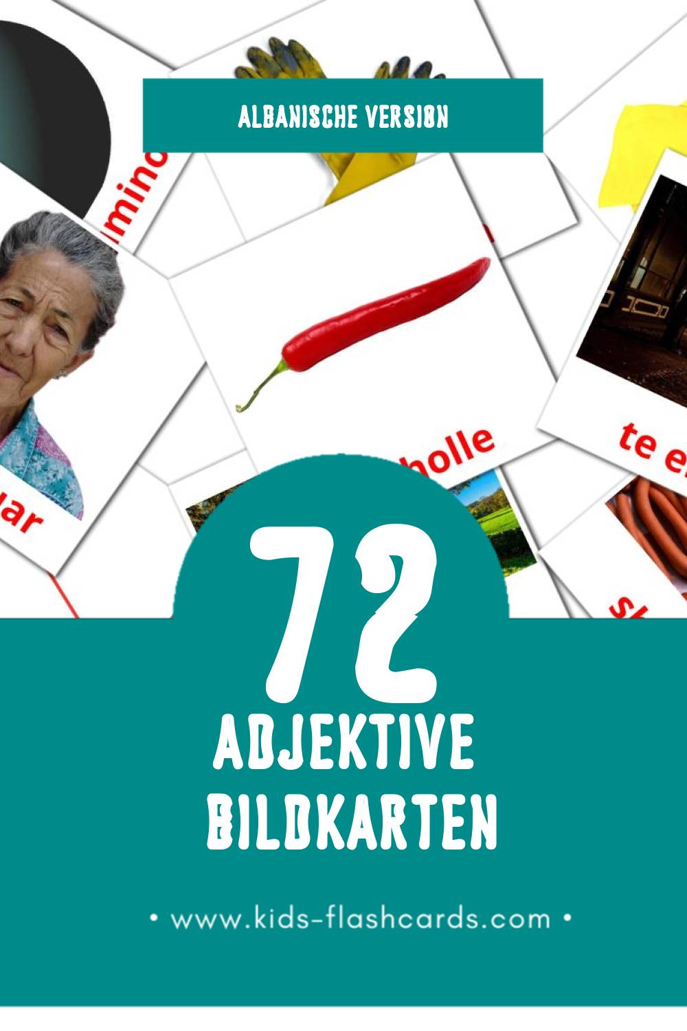 Visual Te kundertat Flashcards für Kleinkinder (74 Karten in Albanisch)