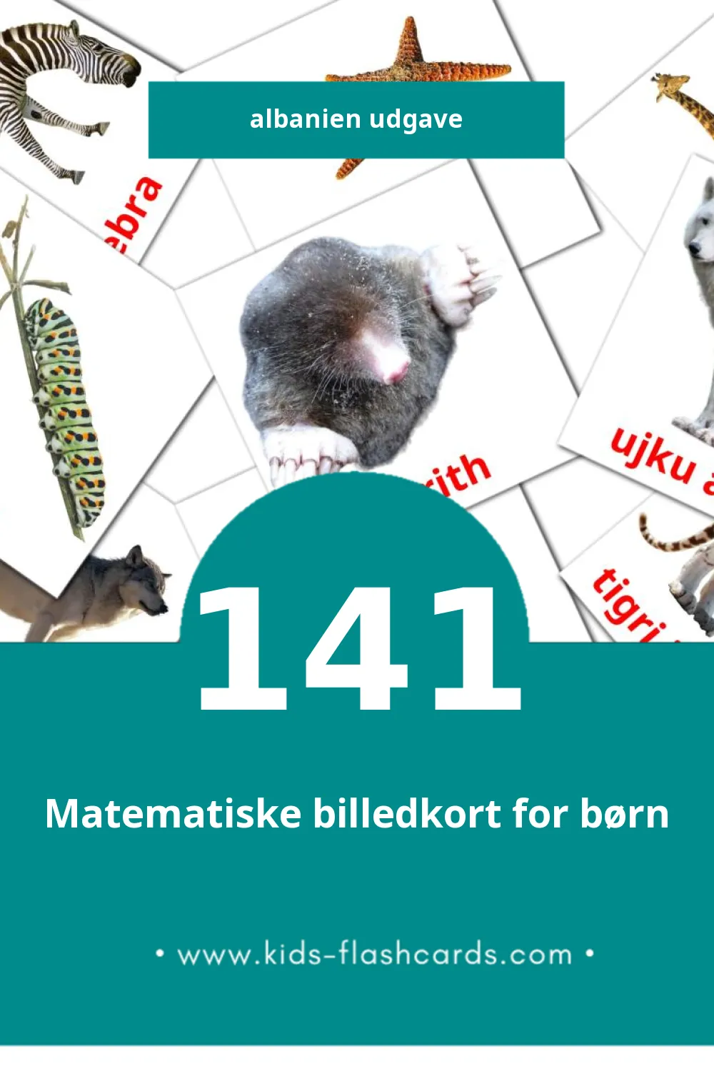 Visuelle billedkort for børn om Kafshët til småbørn (141 kort på Albanien)