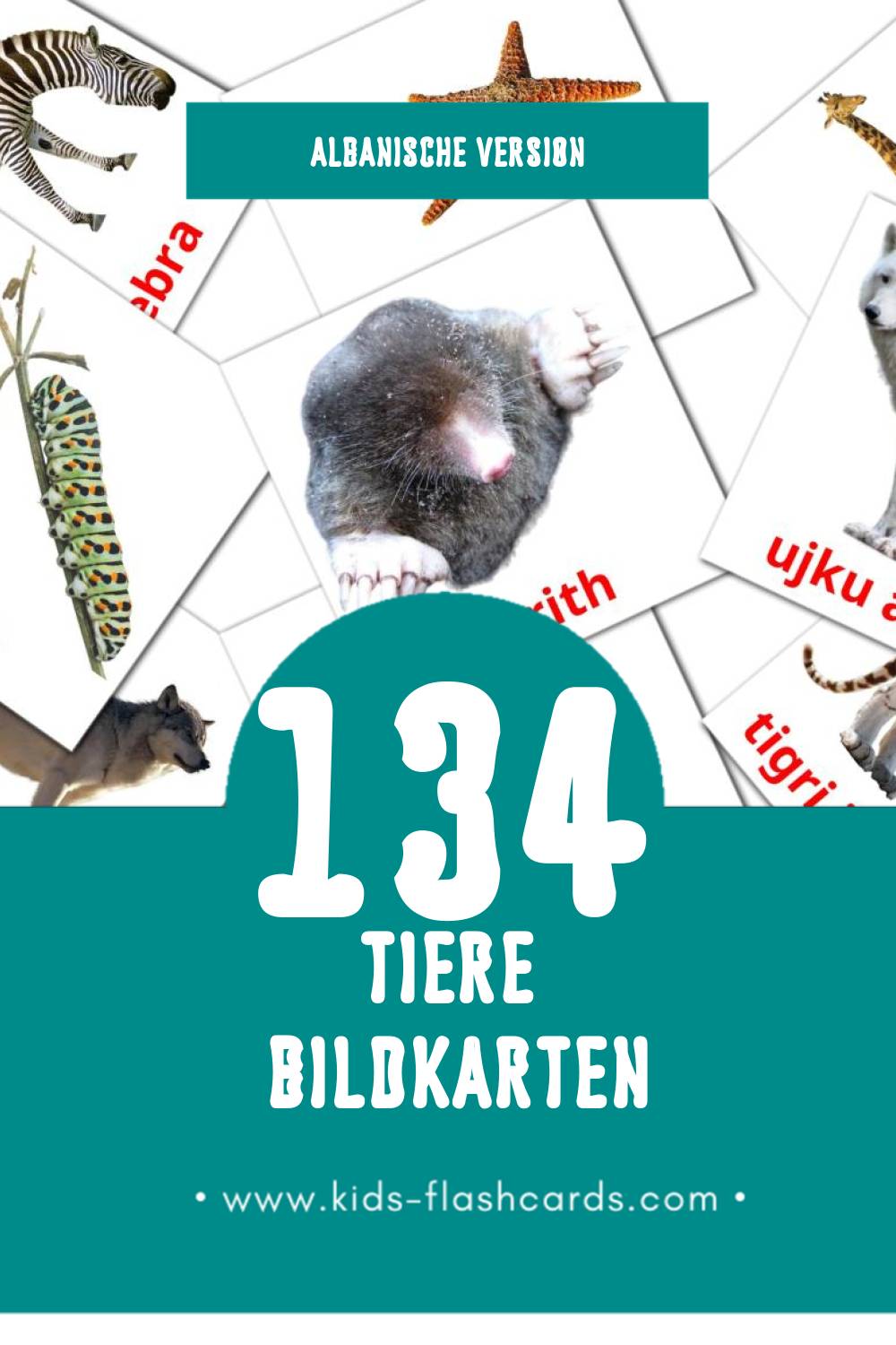 Visual Kafshët Flashcards für Kleinkinder (134 Karten in Albanisch)