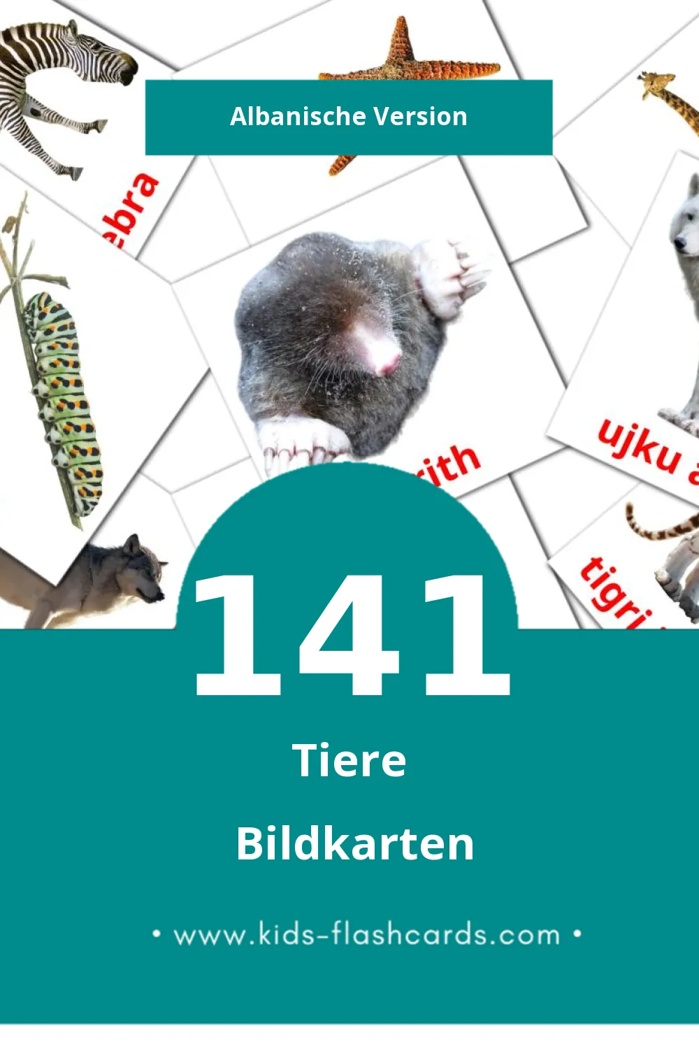 Visual Kafshët Flashcards für Kleinkinder (141 Karten in Albanisch)