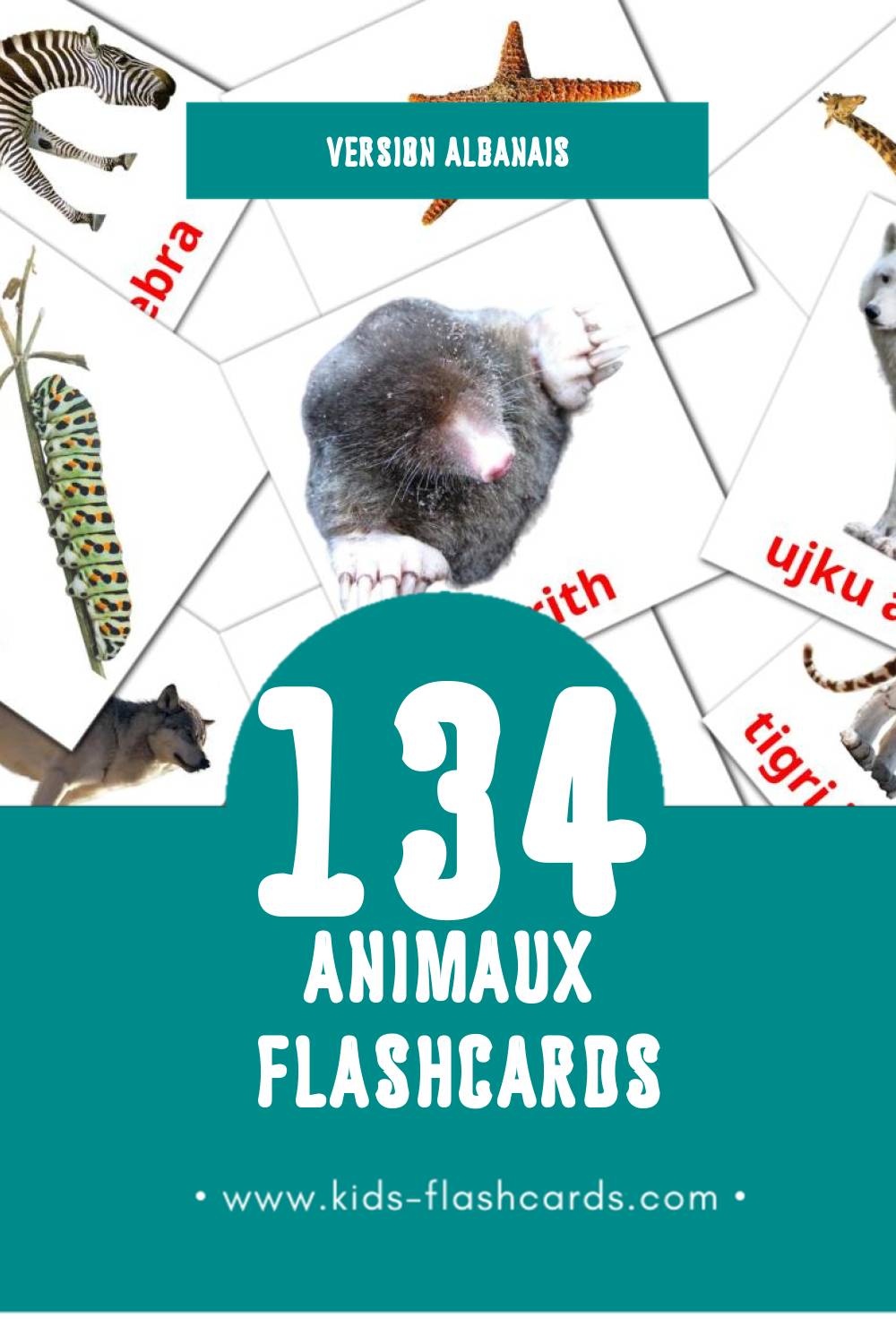 Flashcards Visual Kafshët pour les tout-petits (134 cartes en Albanais)